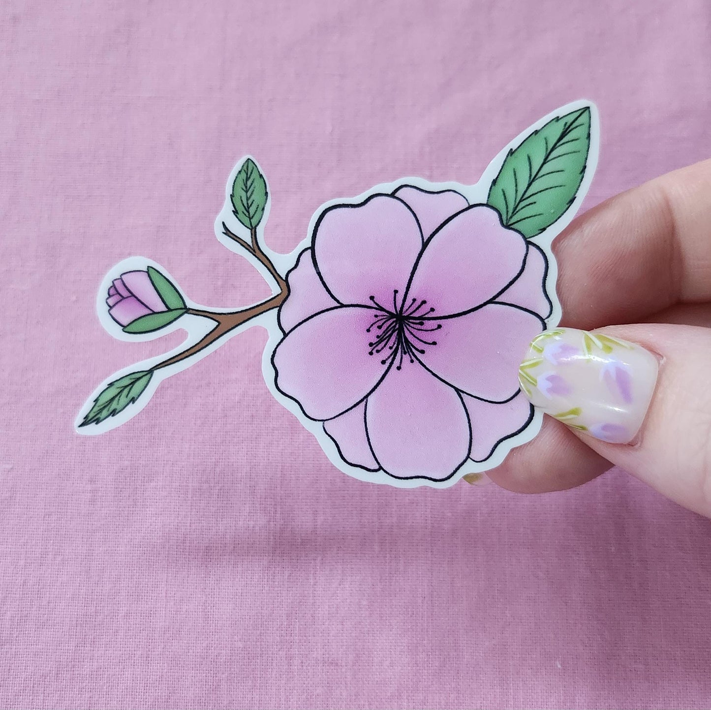 Pink Sakura Blossom - Hand Drawn Glossy Vinyl Sticker