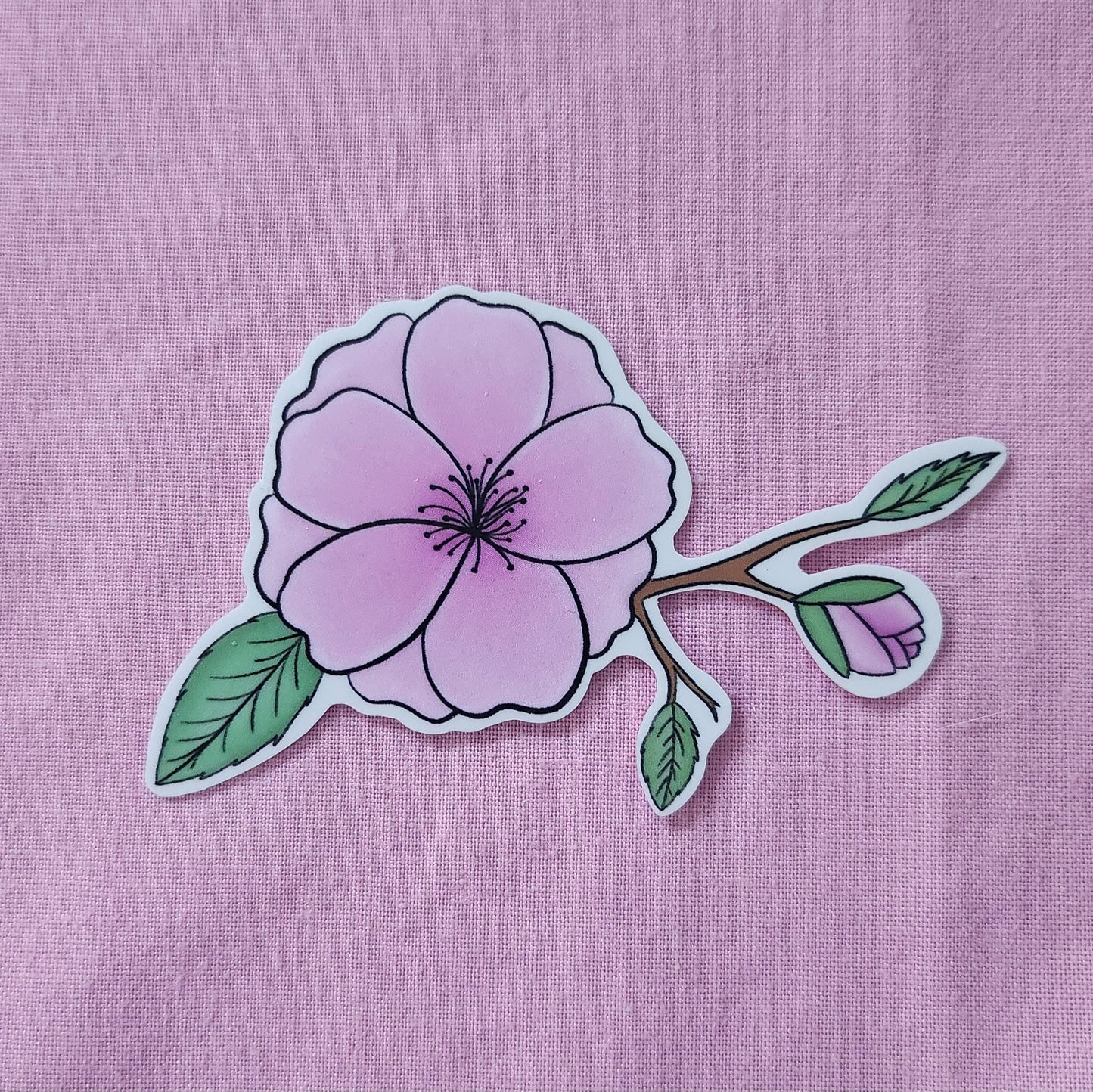 Pink Sakura Blossom - Hand Drawn Glossy Vinyl Sticker